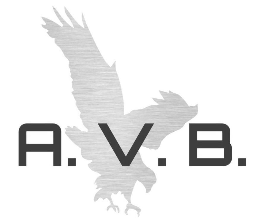 Law Offices of Arsen V. Baziyants Legal Guides by Immigration Attorney