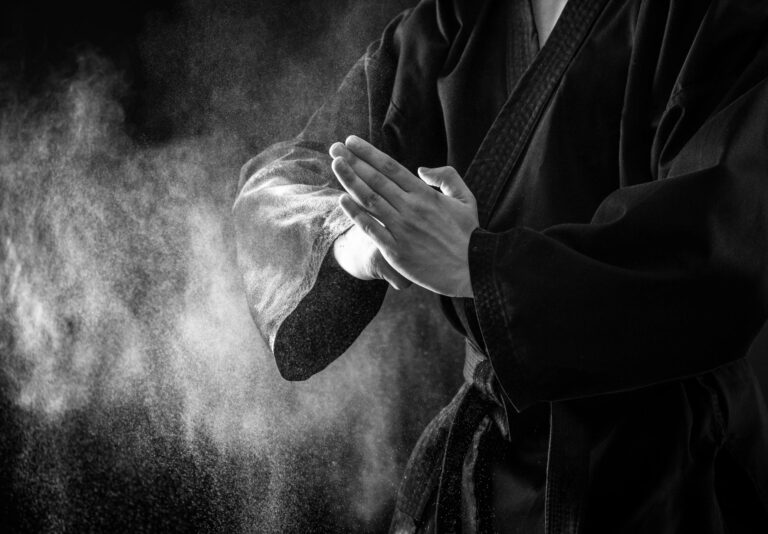 EB-1 Extraordinary Ability Petitions 2 Extraordinary Ability in Martial Arts